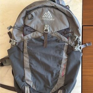 Gregory Gray Backpack- Juno 20
